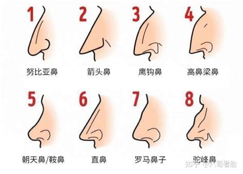 鼻子面向|十五种鼻型，你属于哪一种？